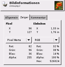 Der Reiter Zeiger des Dialogfensters